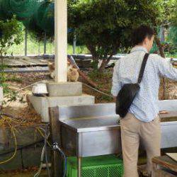 淡路じゃのひれフィッシングパーク 釣果