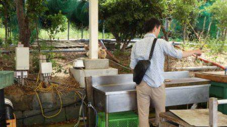 淡路じゃのひれフィッシングパーク 釣果