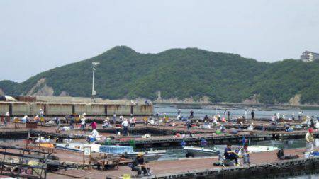 淡路じゃのひれフィッシングパーク 釣果