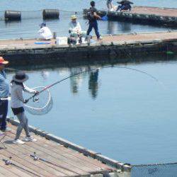 淡路じゃのひれフィッシングパーク 釣果