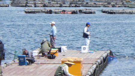 淡路じゃのひれフィッシングパーク 釣果