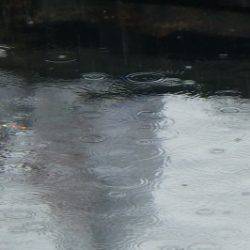 淡路じゃのひれフィッシングパーク 釣果