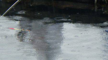 淡路じゃのひれフィッシングパーク 釣果