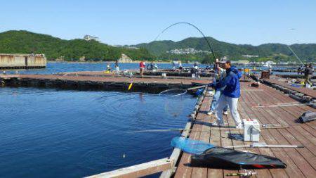 淡路じゃのひれフィッシングパーク 釣果
