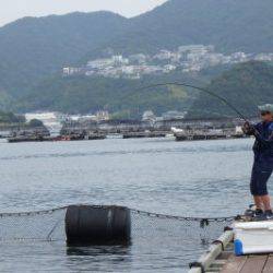 淡路じゃのひれフィッシングパーク 釣果