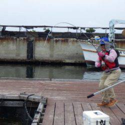 淡路じゃのひれフィッシングパーク 釣果
