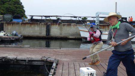 淡路じゃのひれフィッシングパーク 釣果