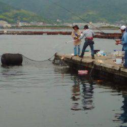 淡路じゃのひれフィッシングパーク 釣果