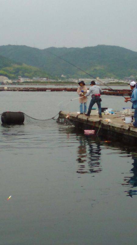 淡路じゃのひれフィッシングパーク 釣果