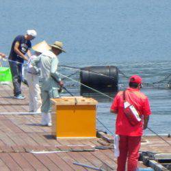 淡路じゃのひれフィッシングパーク 釣果