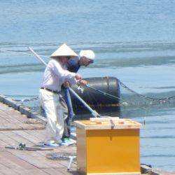 淡路じゃのひれフィッシングパーク 釣果