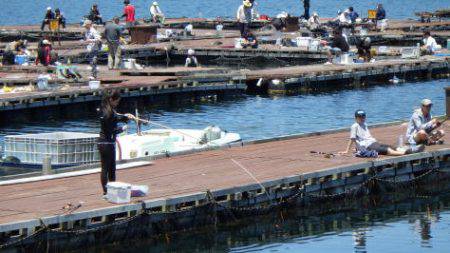 淡路じゃのひれフィッシングパーク 釣果