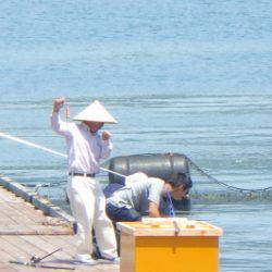 淡路じゃのひれフィッシングパーク 釣果