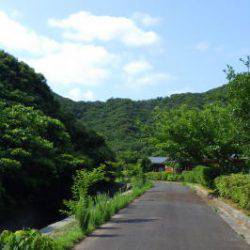 淡路じゃのひれフィッシングパーク 釣果