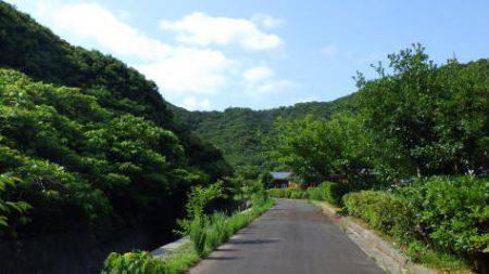 淡路じゃのひれフィッシングパーク 釣果