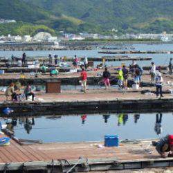 淡路じゃのひれフィッシングパーク 釣果