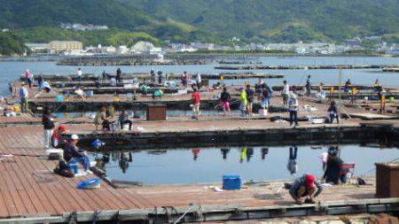 淡路じゃのひれフィッシングパーク 釣果