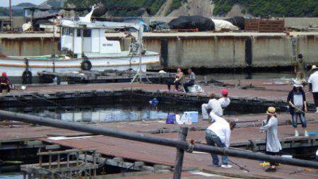 淡路じゃのひれフィッシングパーク 釣果