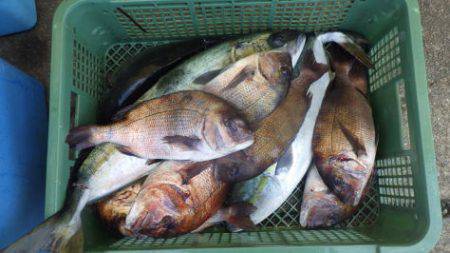 淡路じゃのひれフィッシングパーク 釣果