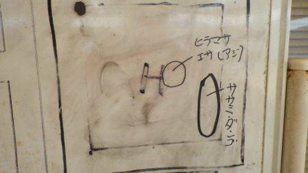 淡路じゃのひれフィッシングパーク 釣果