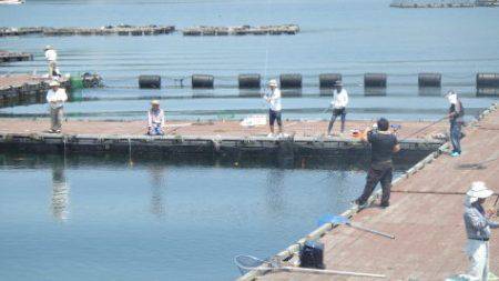 淡路じゃのひれフィッシングパーク 釣果