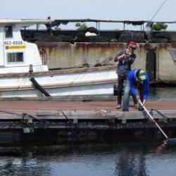淡路じゃのひれフィッシングパーク 釣果