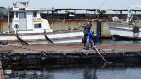 淡路じゃのひれフィッシングパーク 釣果