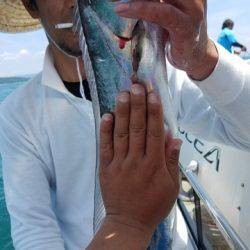 遊漁船 ニライカナイ 釣果