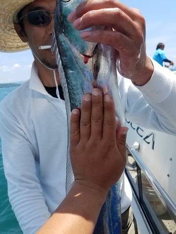 遊漁船 ニライカナイ 釣果