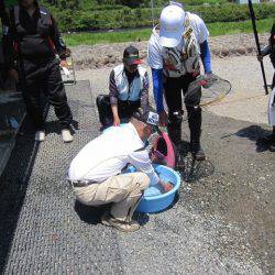 狩野川(狩野川漁業協同組合) 釣果