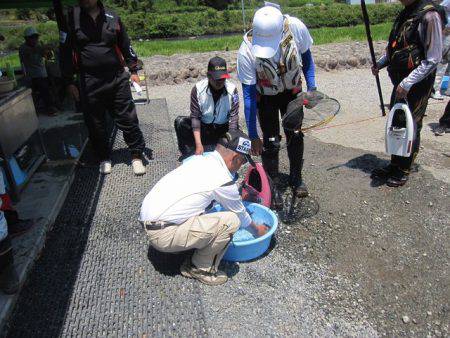 狩野川（狩野川漁業協同組合） 釣果