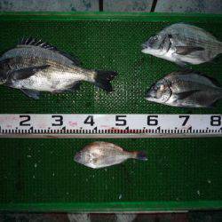 海山フィッシングセンター 釣果