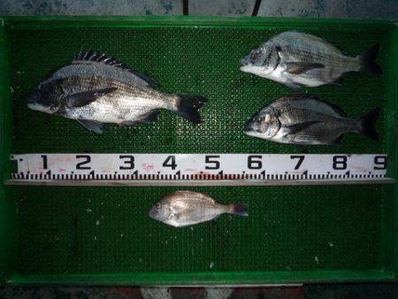 海山フィッシングセンター 釣果