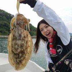 Magic(マジック) 釣果