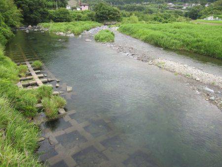 狩野川（狩野川漁業協同組合） 釣果