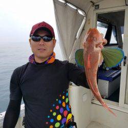 遊漁船　ニライカナイ 釣果