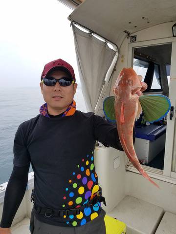 遊漁船　ニライカナイ 釣果