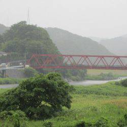 狩野川(狩野川漁業協同組合) 釣果