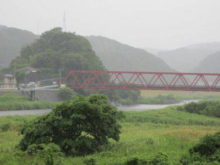 狩野川(狩野川漁業協同組合) 釣果