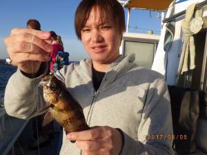 石川丸 釣果