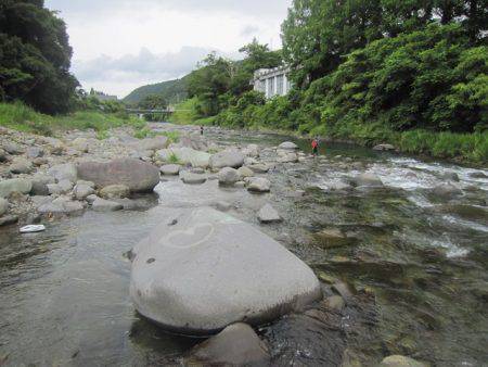 狩野川（狩野川漁業協同組合） 釣果