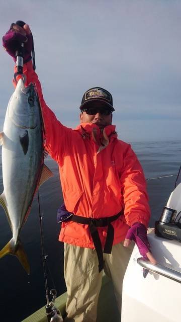 気仙沼 つり丸 釣果