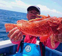 しまや丸 釣果