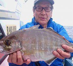 しまや丸 釣果