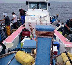 しまや丸 釣果