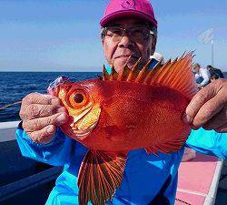 しまや丸 釣果