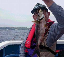 しまや丸 釣果