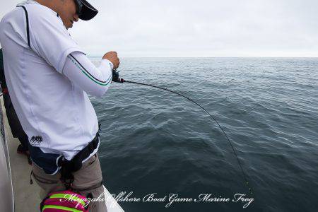 Marine Frog 釣果