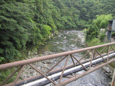狩野川（狩野川漁業協同組合） 釣果