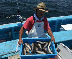 おざき丸 釣果